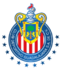 Guadalajara logo