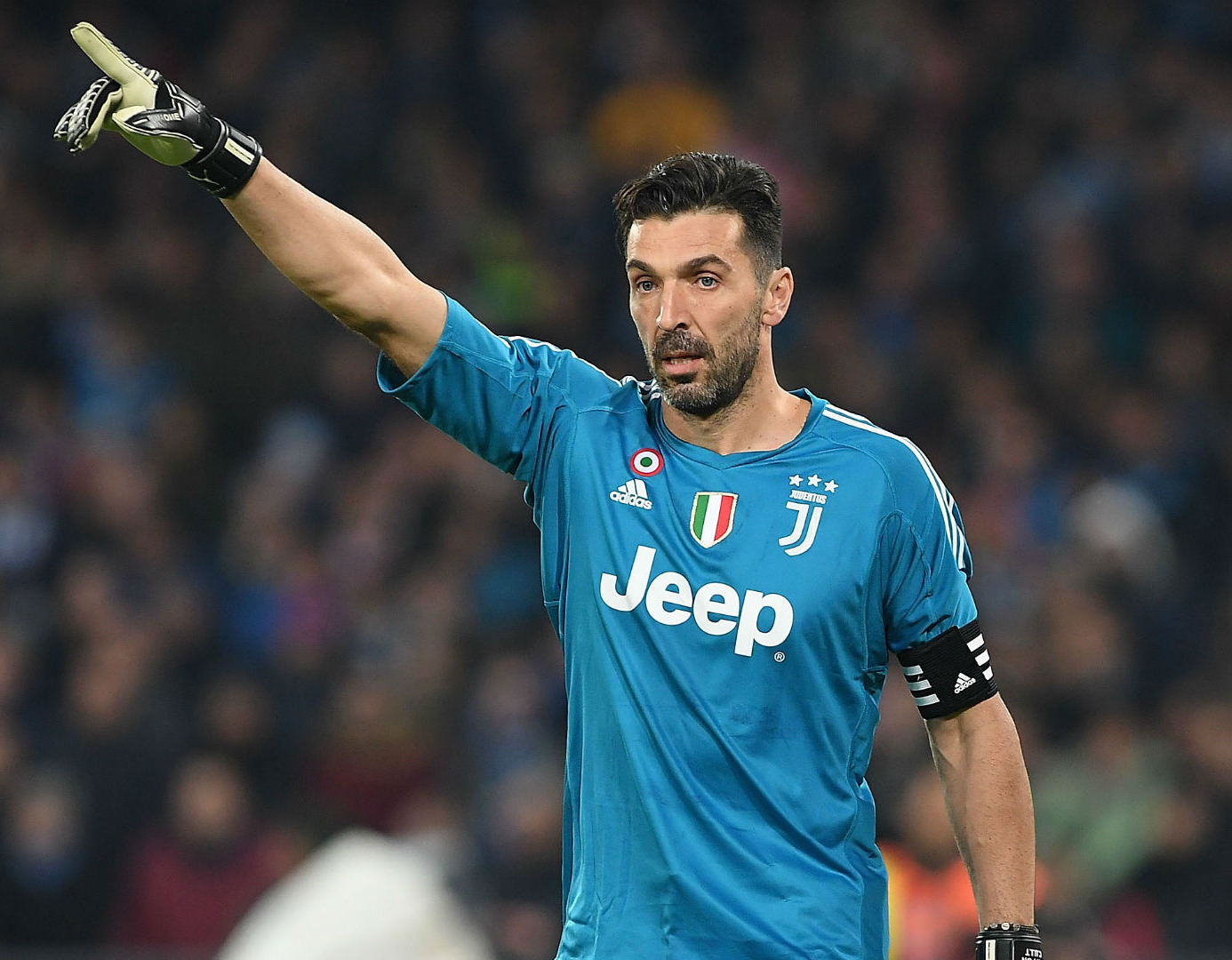 Buffon bio